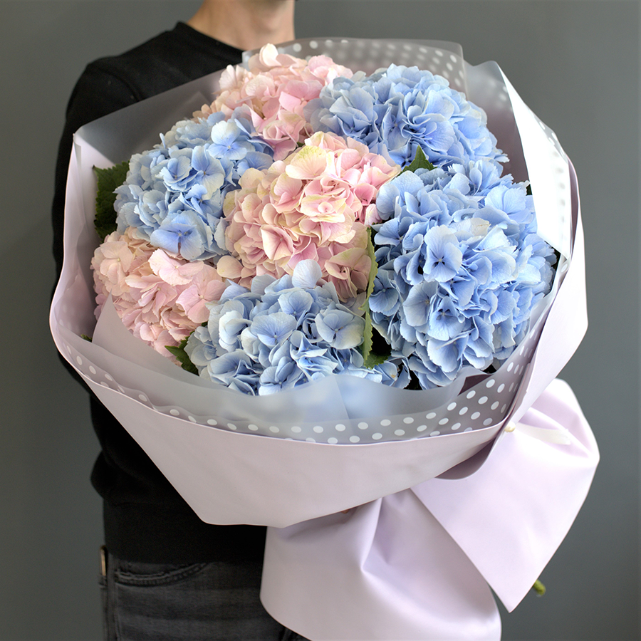 Монобукет из гортензий.