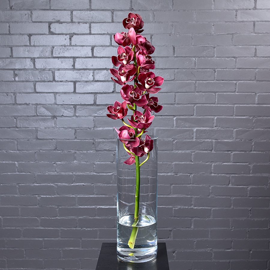 Орхидея "Цимбидиум", розовая, 1 ветка.