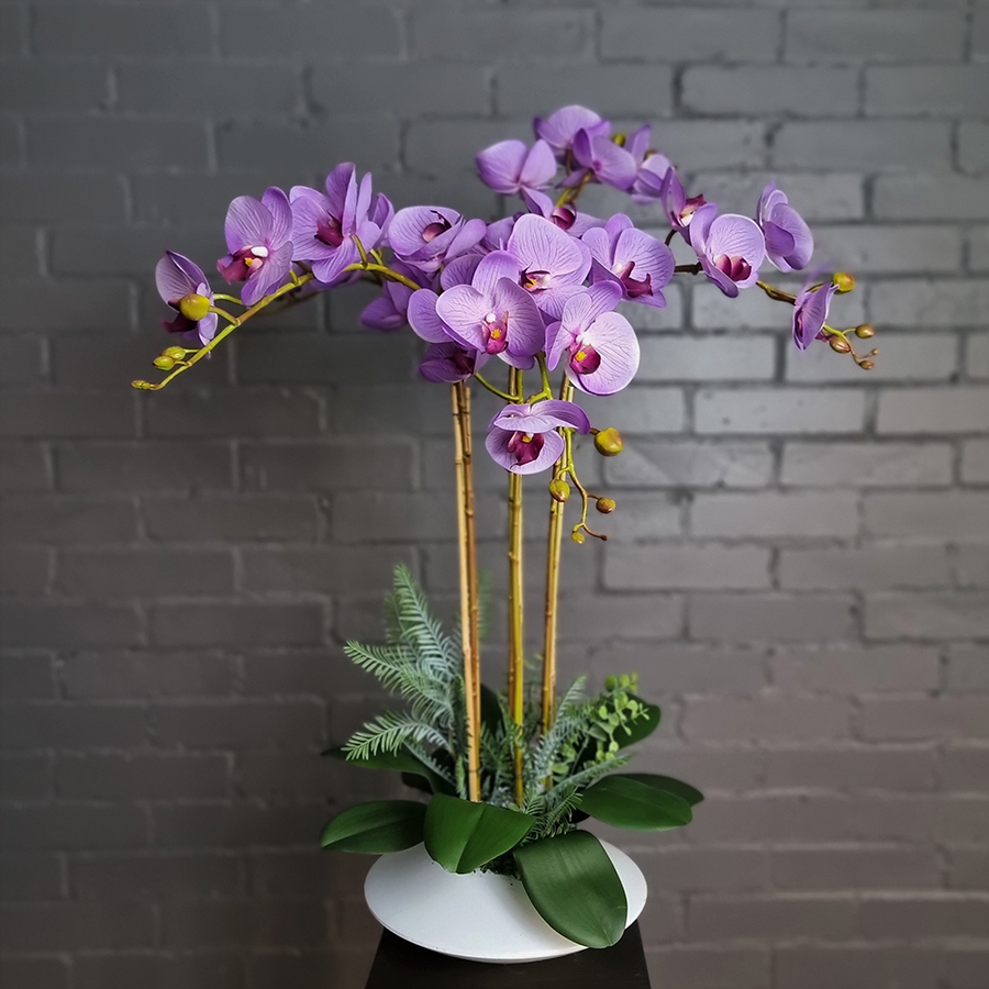 Лавандовые фаленопсисы в керамическом кашпо.