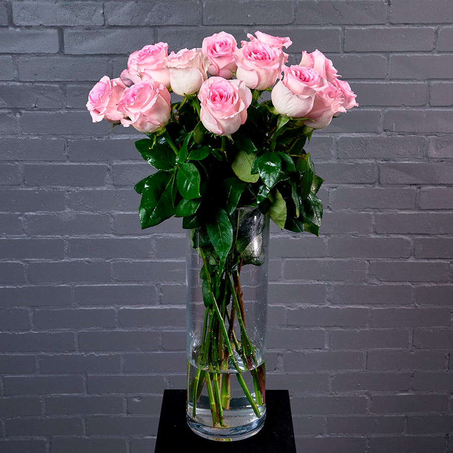 Роза сорта "Мандала"