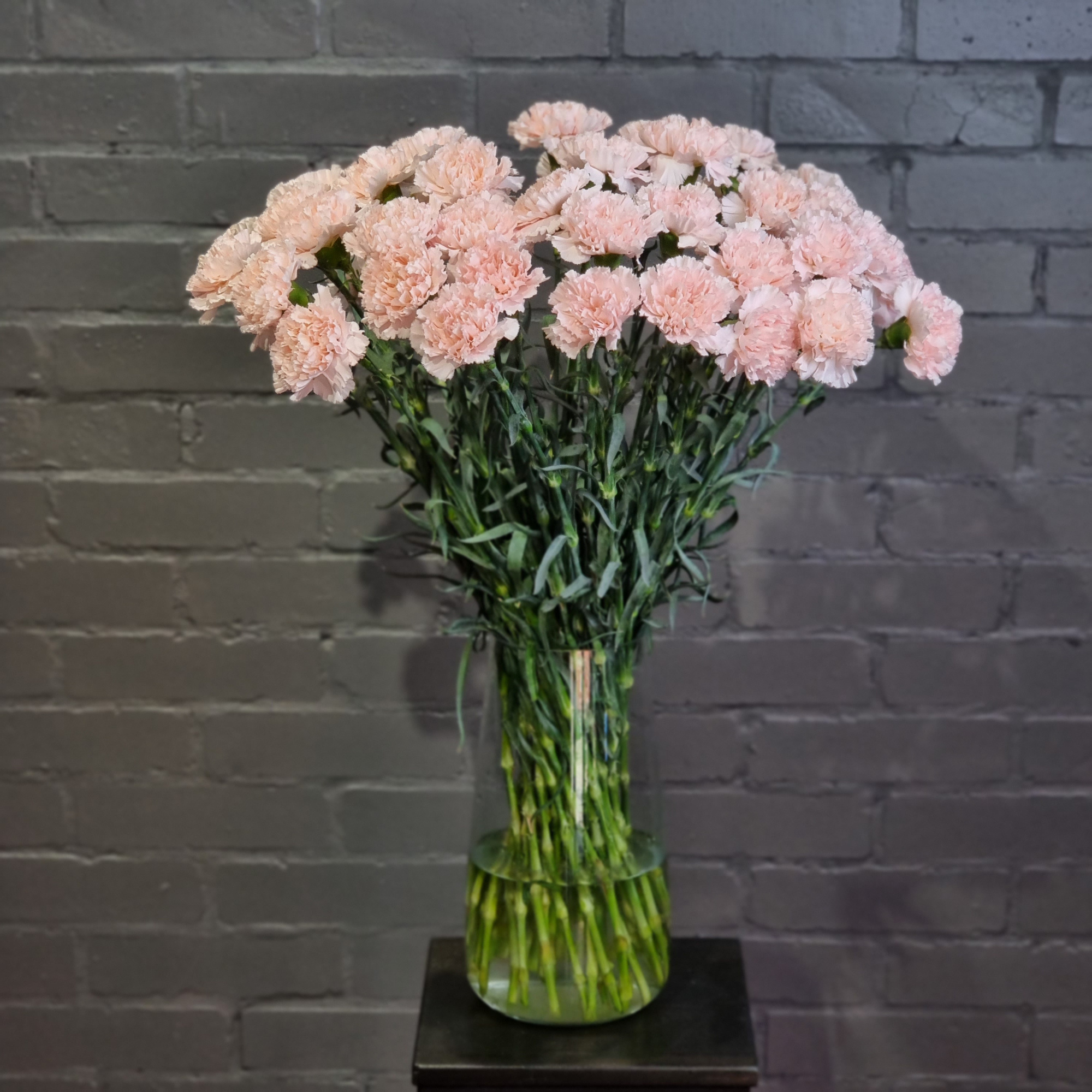 Гвоздика нежно-розовая, 51 штука.